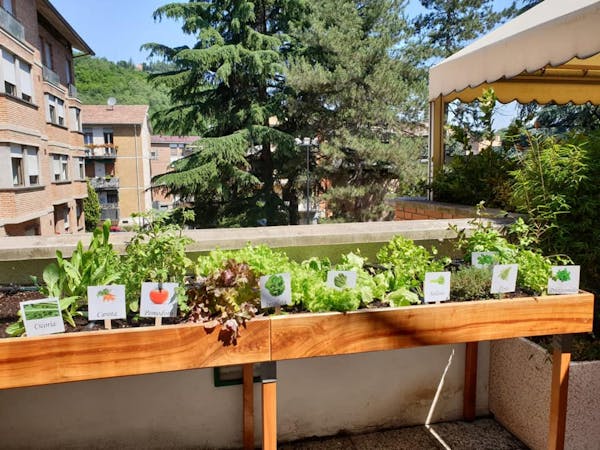 I benefici dell’orto intergenerazionale alla RSA Villa Serena
